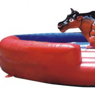 wonderful  playful  community   inflatable donut swim ring   C1231-10