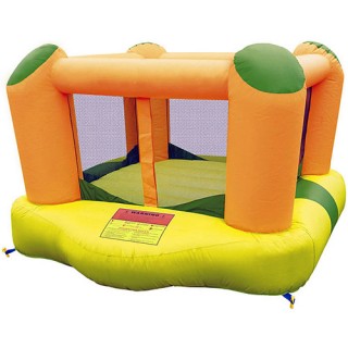 New Inflatable Bounce Playground House with Slide(C1291-4)